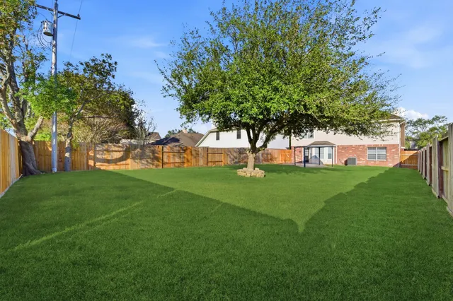 a view of a park with large trees