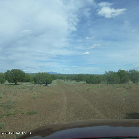 116 West Off Ten Tank Road Williams, AZ 86046 - Photo 13 of 24 driveway view