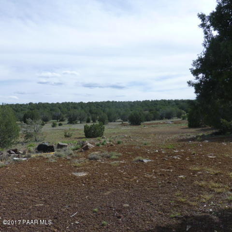 116 West Off Ten Tank Road Williams, AZ 86046 - Photo 9 of 24 property view