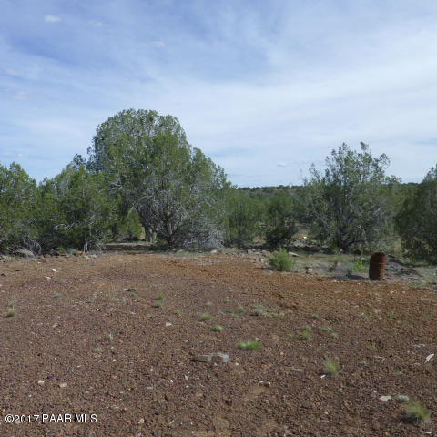 116 West Off Ten Tank Road Williams, AZ 86046 - Photo 10 of 24 property view