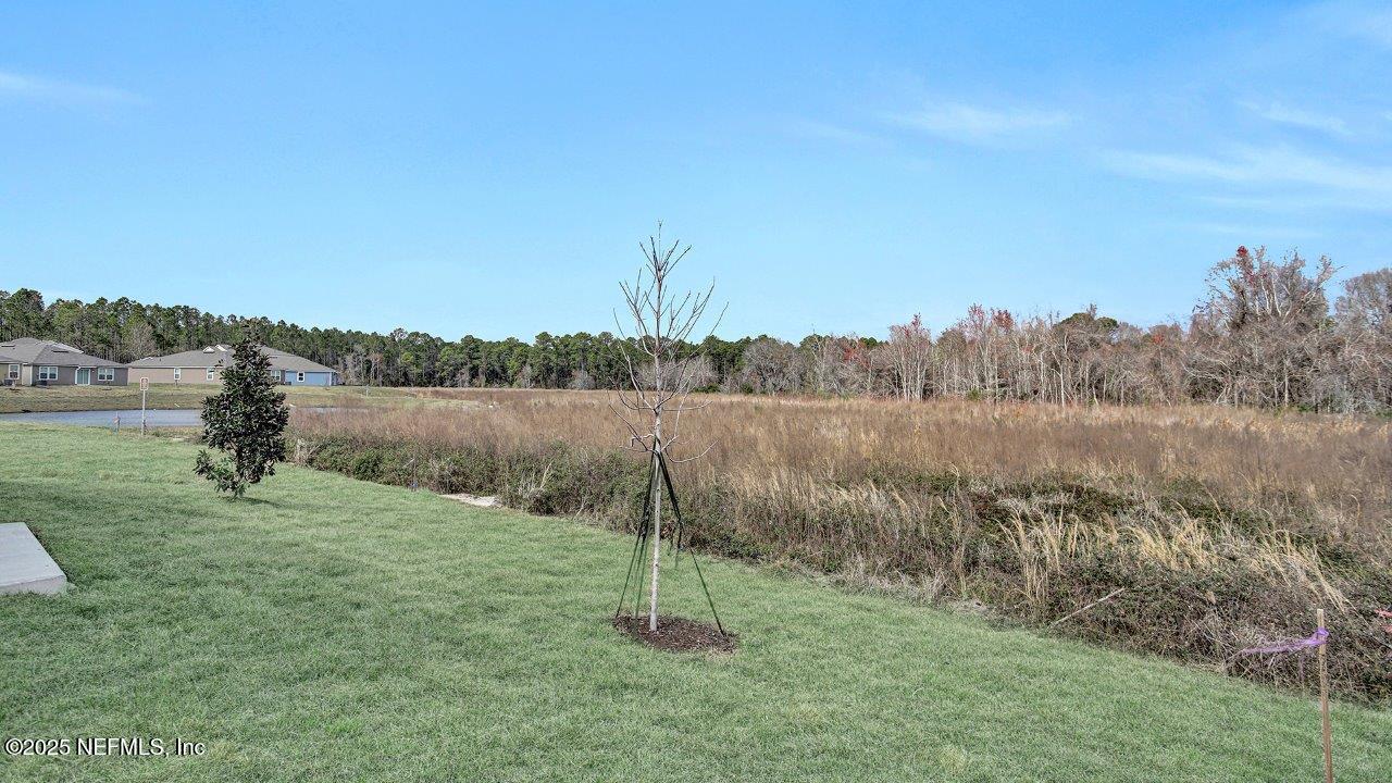 5651 Rustic Thorn Road Jacksonville, FL 32219 - Photo 14 of 48 5651_0010_IMG_3726