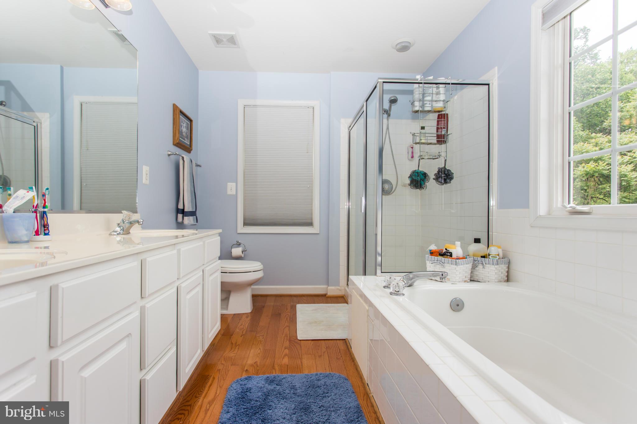 15364 Locust Point King George, VA 22485 - Photo 12 of 21 Bath (Master)