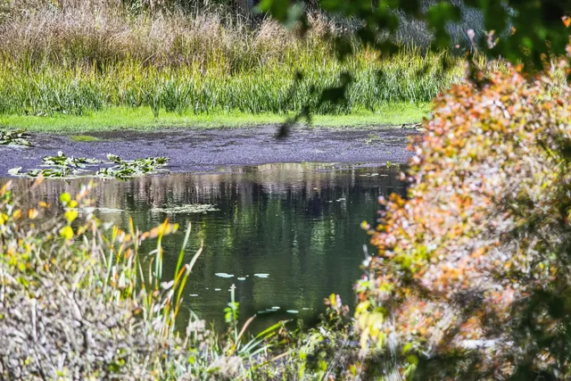 $2,250,000 | 34 Lake Drive, Orleans, MA 02653