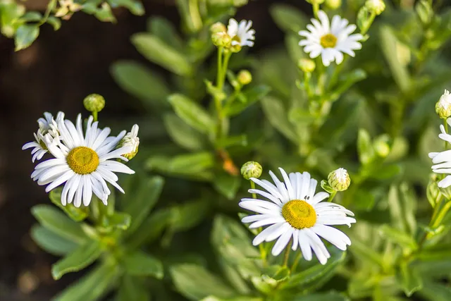 $2,250,000 | 34 Lake Drive, Orleans, MA 02653