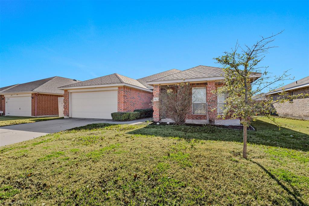 2821 Mockingbird Street Royse City, TX 75189 - Photo 3 of 21 a backyard of a house with plants and large tree