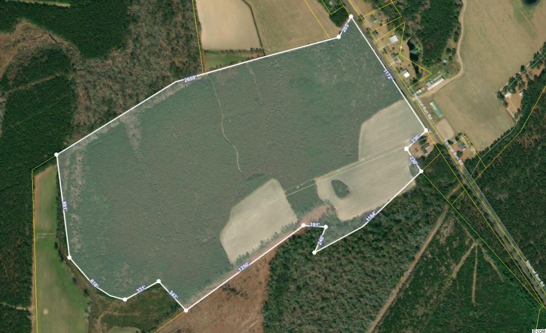 Tbd Tbd Squirrel Run Road Hemingway, SC 29554 - Photo 1 of 9 Gallery Image 1