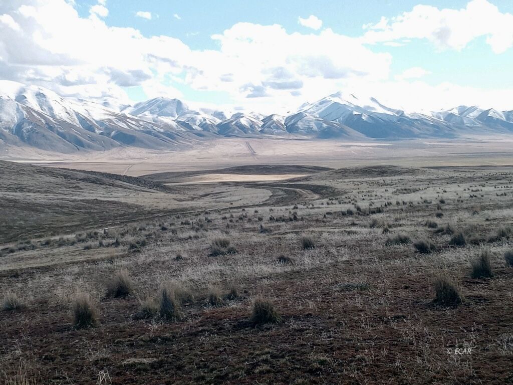 Frenchie Rd Crescent Valley Crescent Valley, NV 89821 - Photo 15 of 15