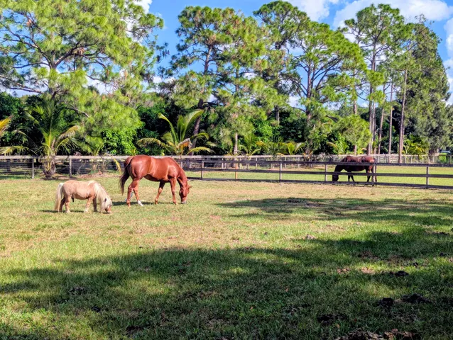 $1,395,000 | 6296 188th Trail North, Loxahatchee, FL 33470