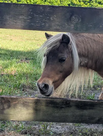 $1,395,000 | 6296 188th Trail North, Loxahatchee, FL 33470