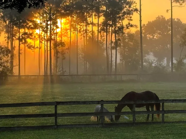 $1,395,000 | 6296 188th Trail North, Loxahatchee, FL 33470