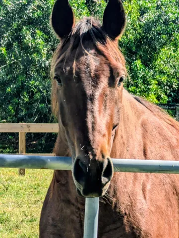 $1,395,000 | 6296 188th Trail North, Loxahatchee, FL 33470