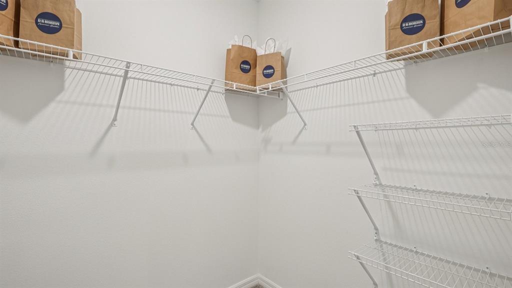 32507 Welling Blade Loop Wesley Chapel, FL 33545 - Photo 23 of 39 a view of a store room