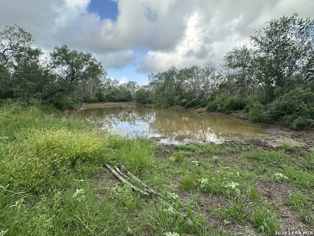 Tbd Leal Road Pleasanton, TX 78064 - Photo 9 of 14