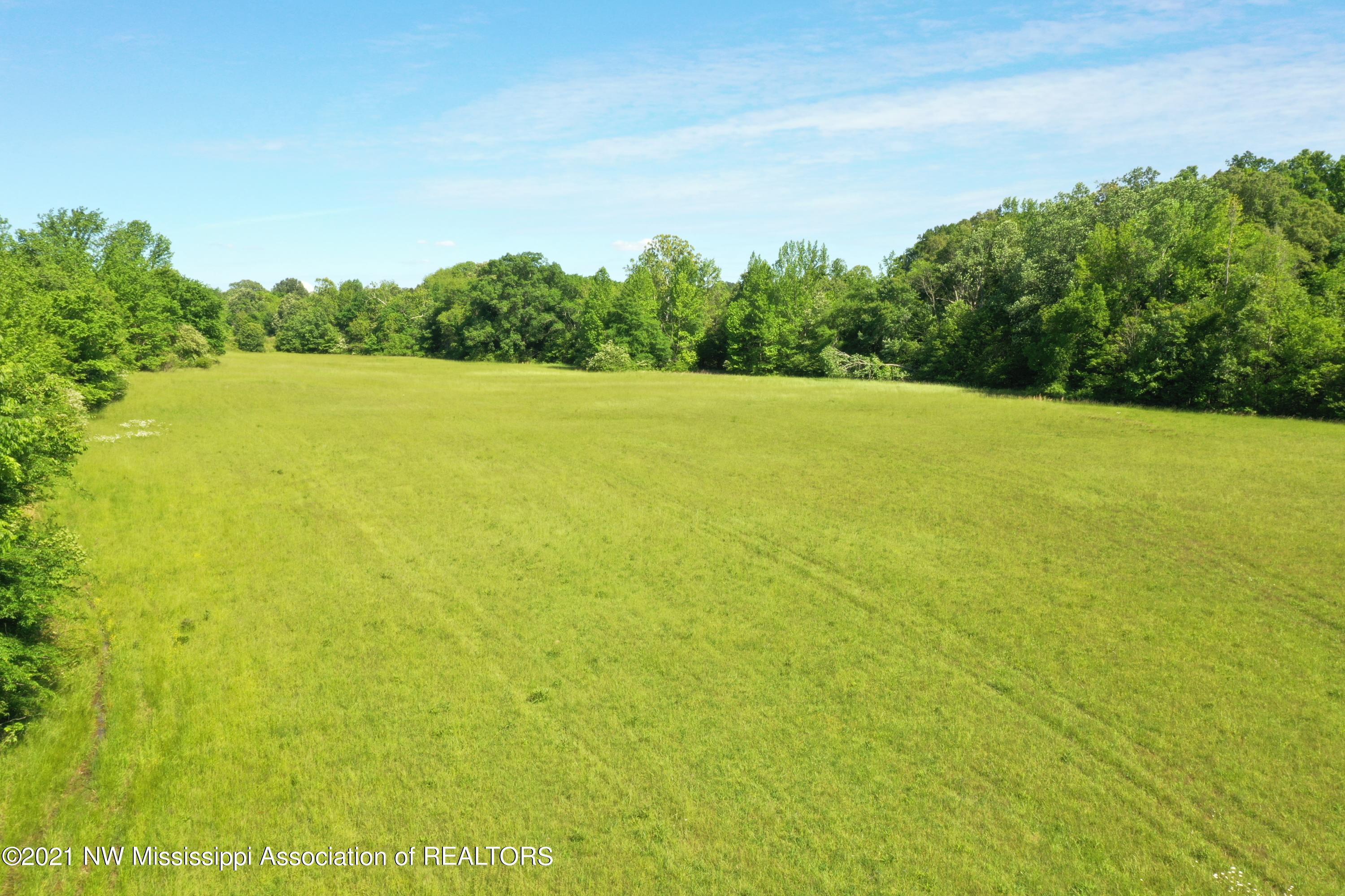 4 Red Banks Road North Byhalia, MS 38611 - Photo 16 of 43 DJI_0311