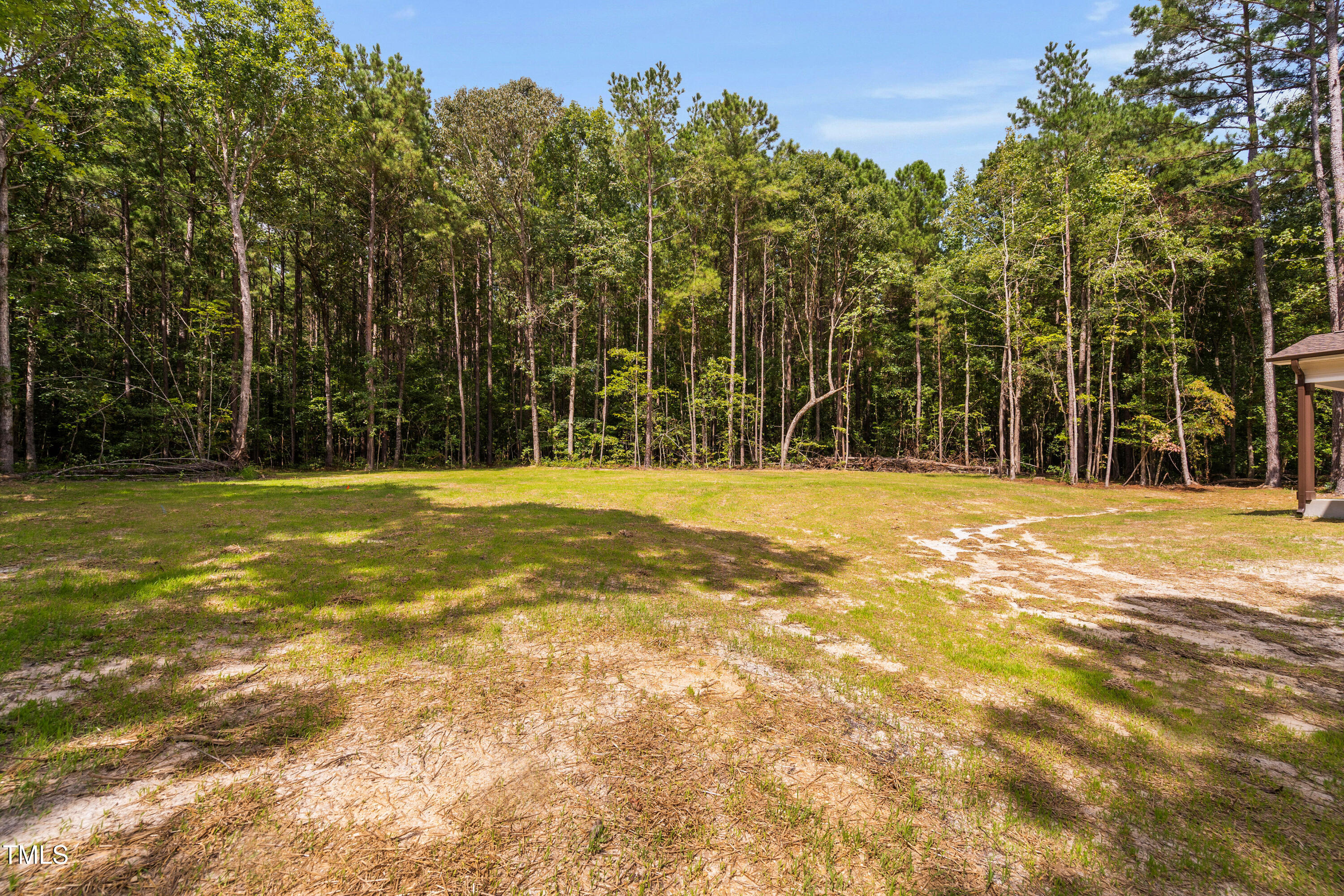 312 Russ Road Smithfield, NC 27577 - Photo 52 of 60 a view of swimming pool with trees in the background