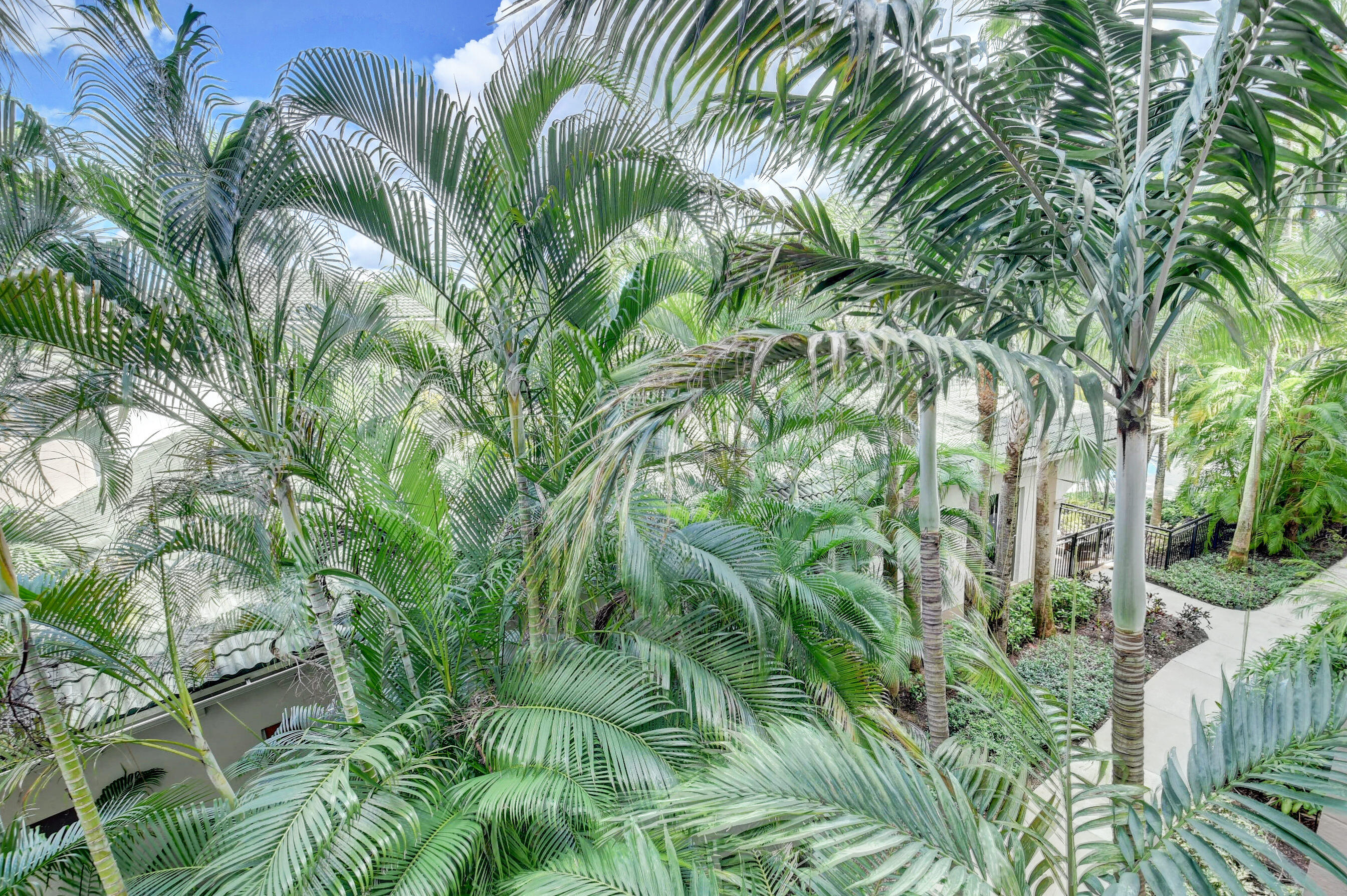 1660 Renaissance Commons Boulevard, Unit 2302 Boynton Beach, FL 33426 - Photo 60 of 61 73_dsc_8755_6_7_8_9