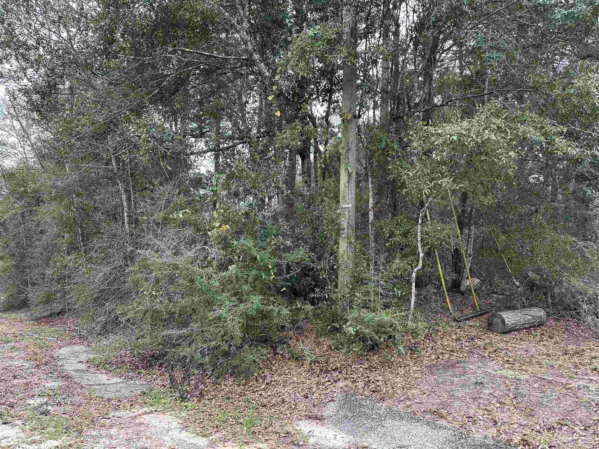 4829 OBryan Way Pace, FL 32571 - Photo 1 of 8