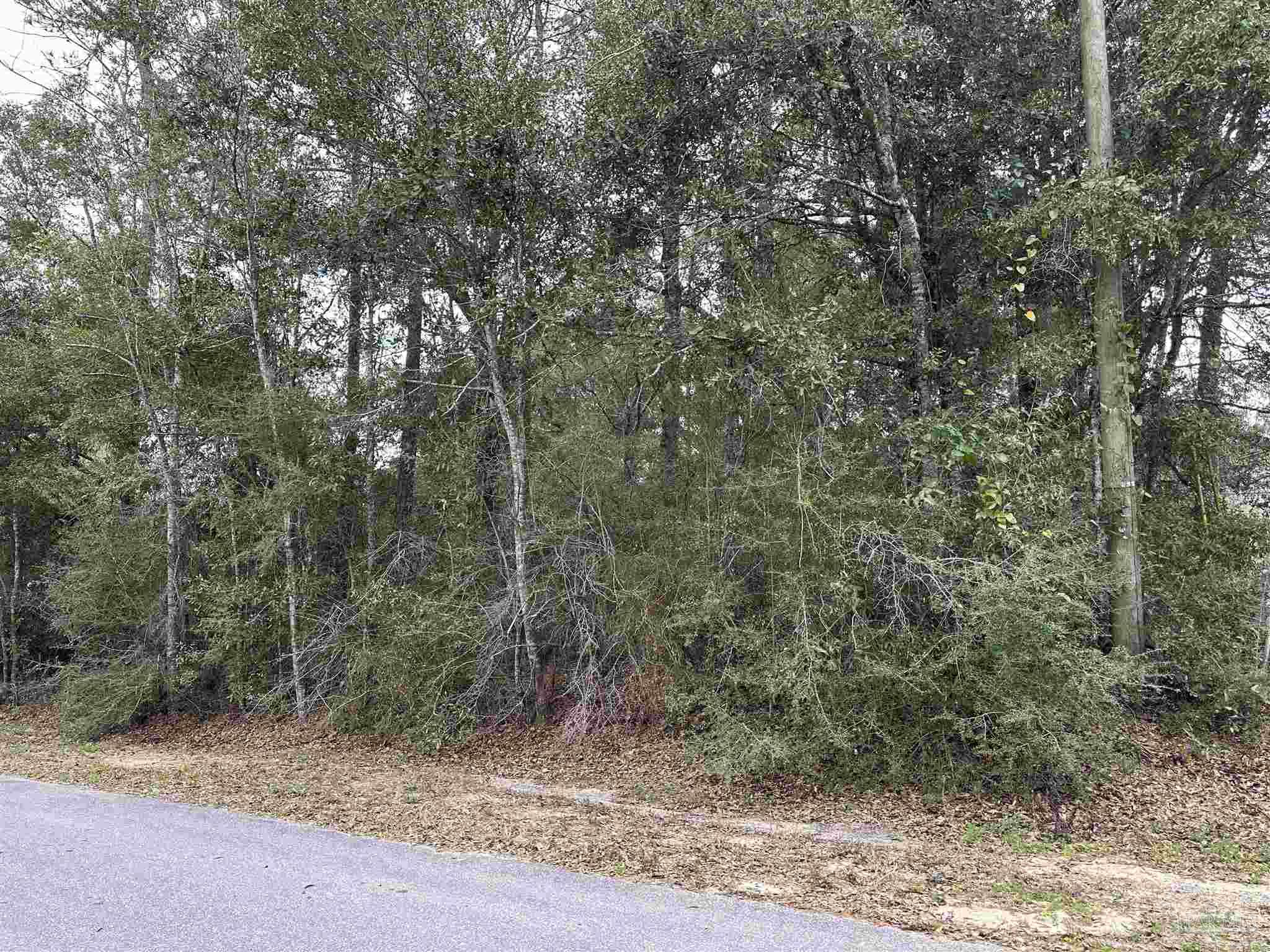 4829 OBryan Way Pace, FL 32571 - Photo 2 of 8