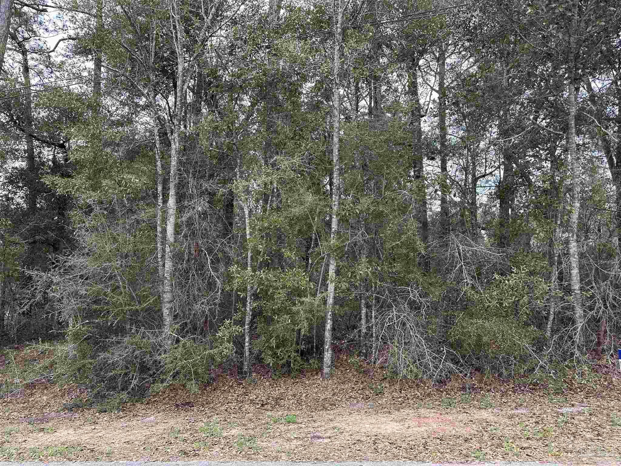 4829 OBryan Way Pace, FL 32571 - Photo 6 of 8