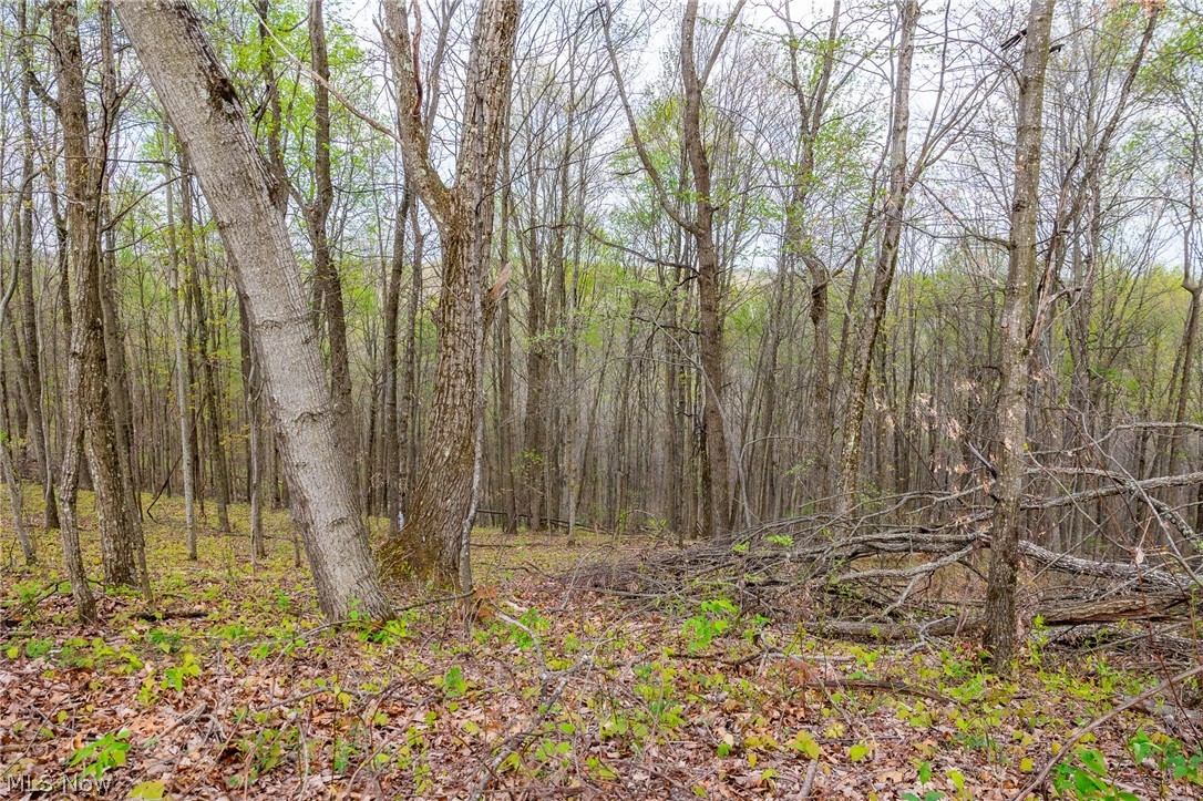 2115 Goss Fork Road, Unit 1 Whipple, OH 45788 - Photo 31 of 38