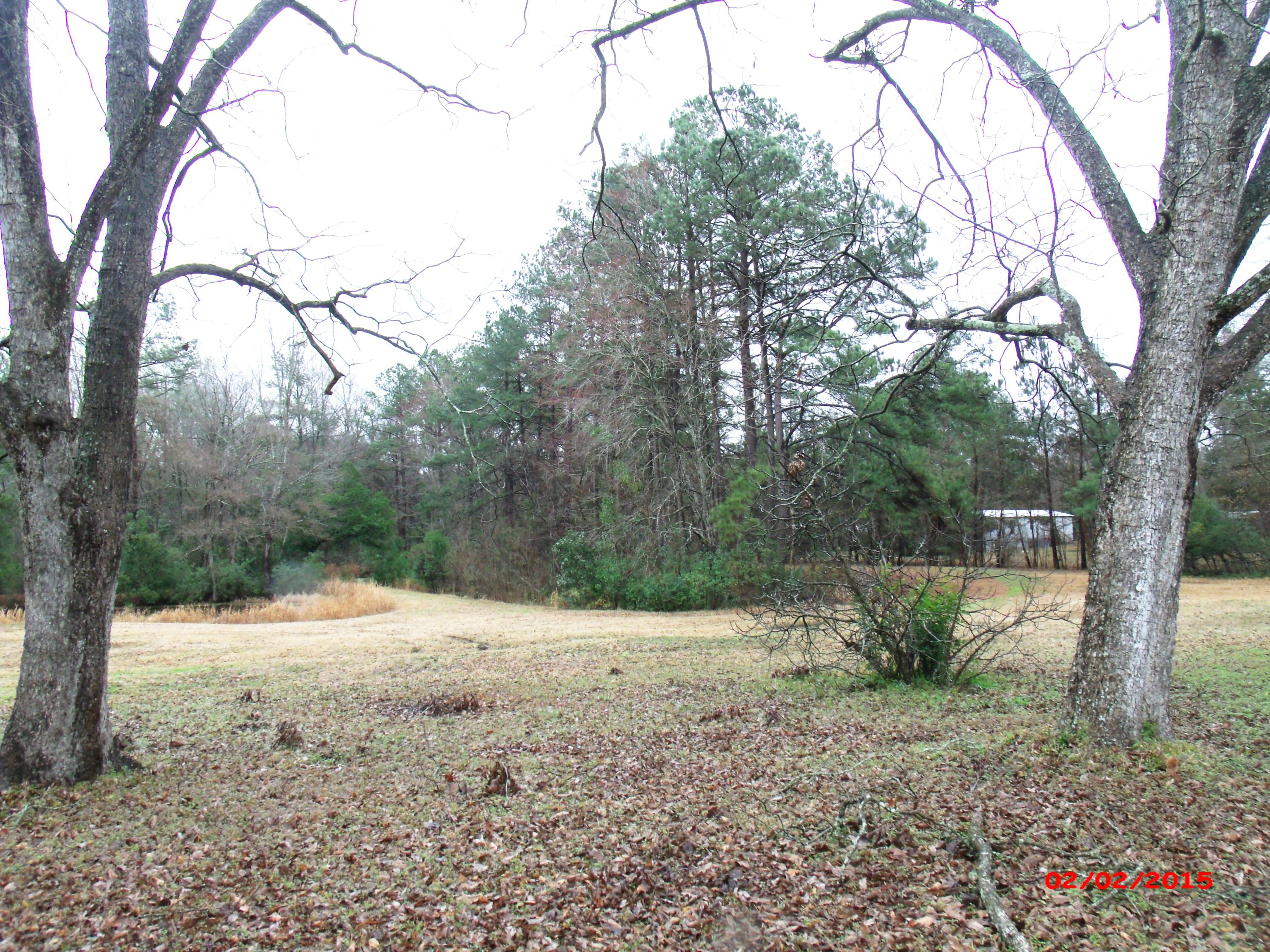 98 Mt Carmel Road Walterboro, SC 29488 - Photo 5 of 8 GEDC0275.JPG