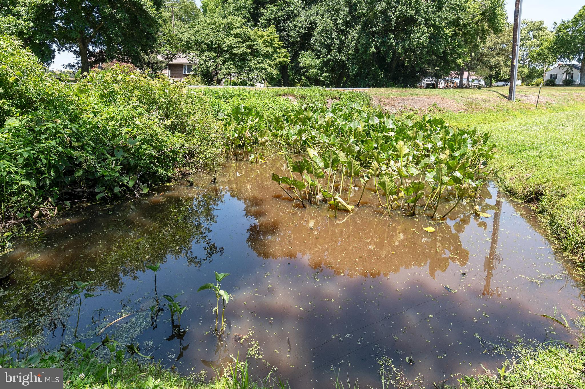 4657 Maiden Forest Road Rhodesdale, MD 21659 - Photo 21 of 32 A water feature