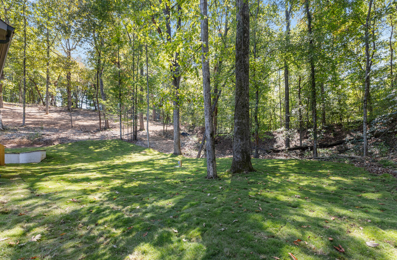6310 Shirley Pond Road Harrison, TN 37341 - Photo 34 of 36 IMG_6509