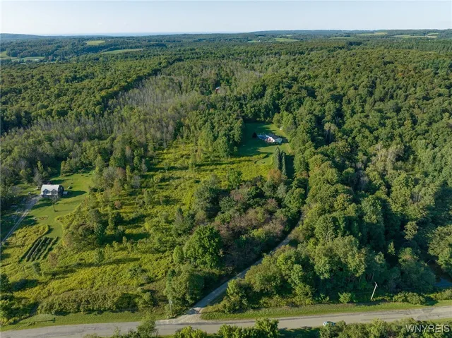 $39,900 | V/l Ames Road, Cassadaga, NY 14718