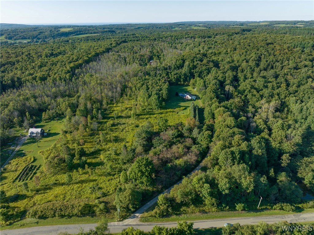 V/l Ames Road Cassadaga, NY 14718 - Photo 2 of 4