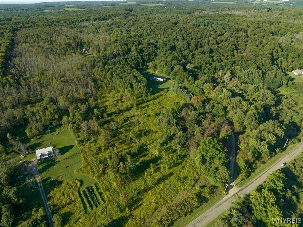 V/l Ames Road Cassadaga, NY 14718 - Photo 3 of 4