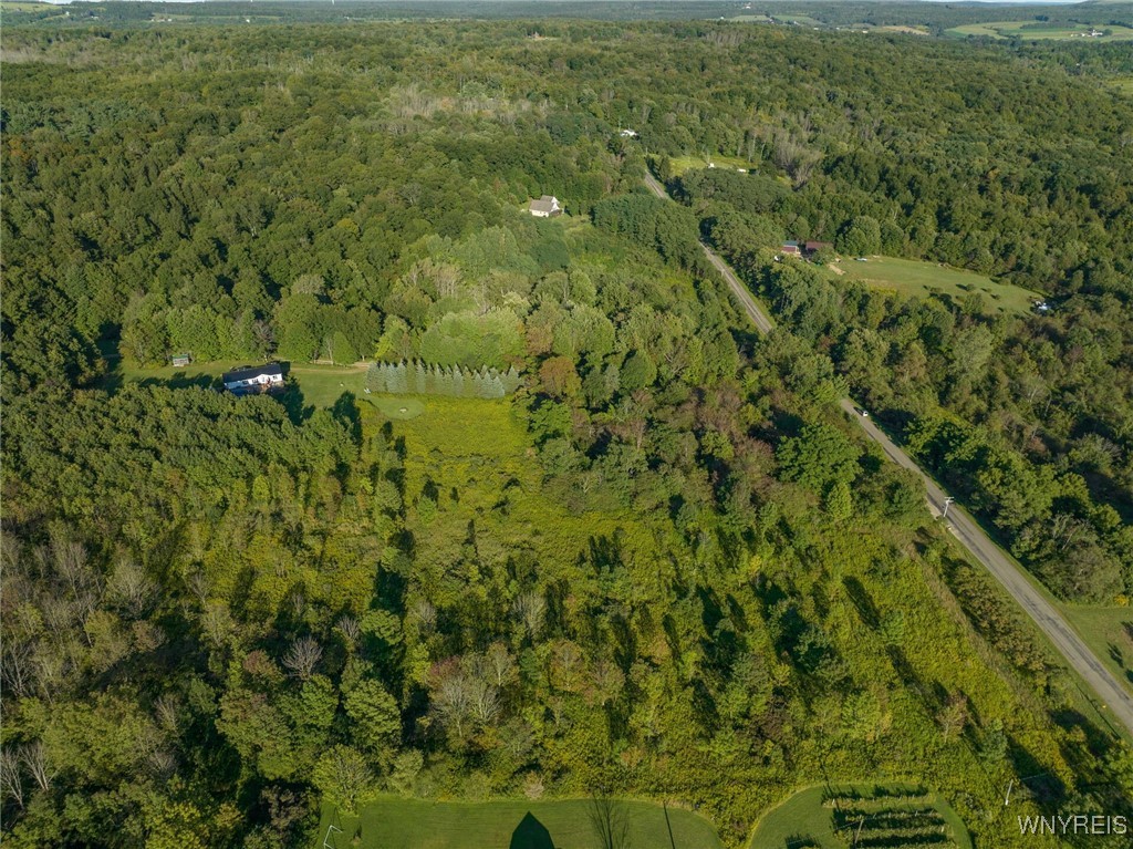 V/l Ames Road Cassadaga, NY 14718 - Photo 4 of 4