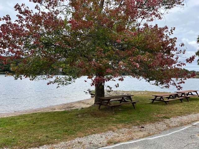a view of lake with trees
