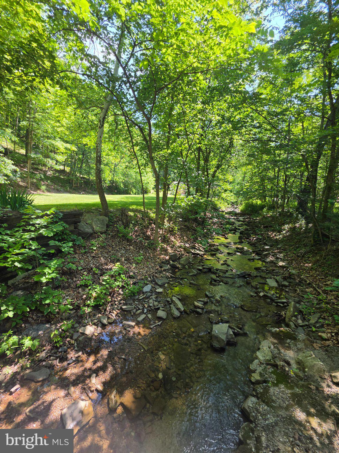 1981 Buffalo Hollow Road Romney, WV 26757 - Photo 3 of 71 Buffalo Creek