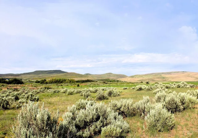 $170,500 | Tbd Tbd Sage Creek Road, Midvale, ID 83645