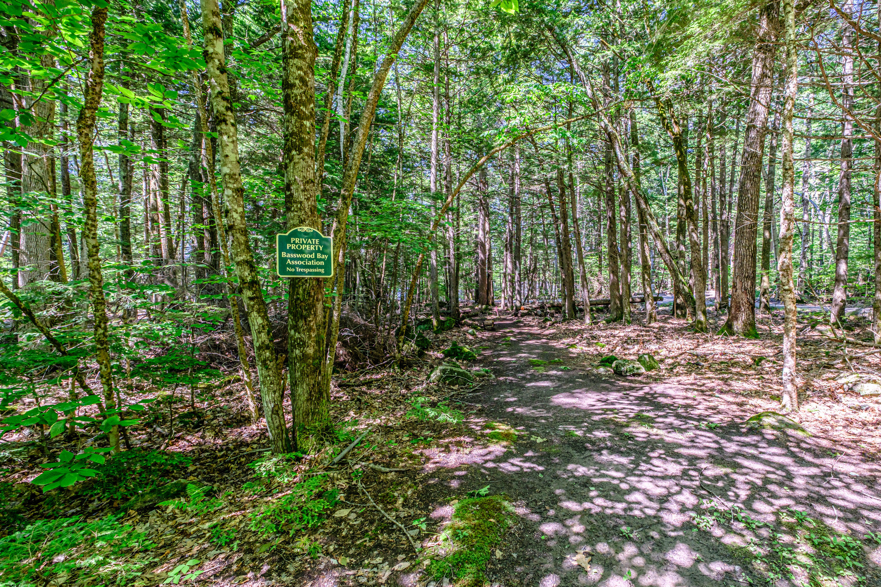 10 Bear Point Road Harrison, ME 04040 - Photo 78 of 86 20260624gp-61091