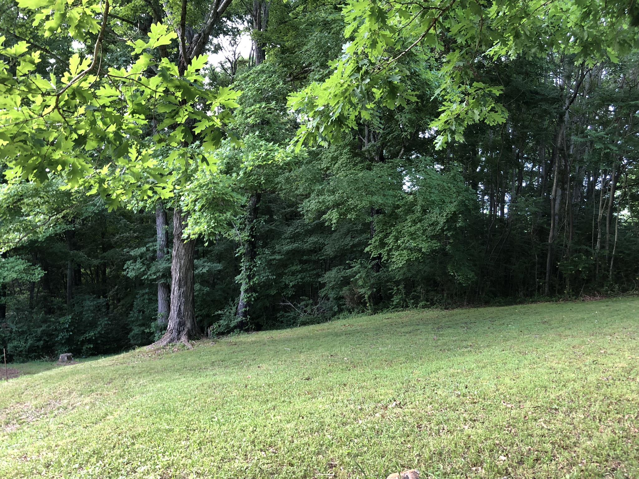 399 Brock Road Charlotte, TN 37036 - Photo 20 of 22 What a view!