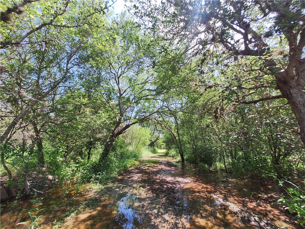 0 County Road Robstown, TX 78380 - Photo 13 of 17