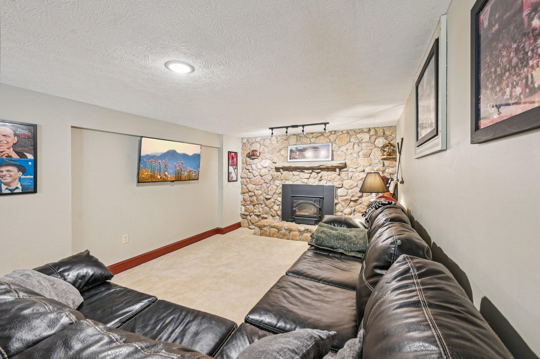 10669 Riverside Drive Powell, OH 43065 - Photo 54 of 103 Lower Level