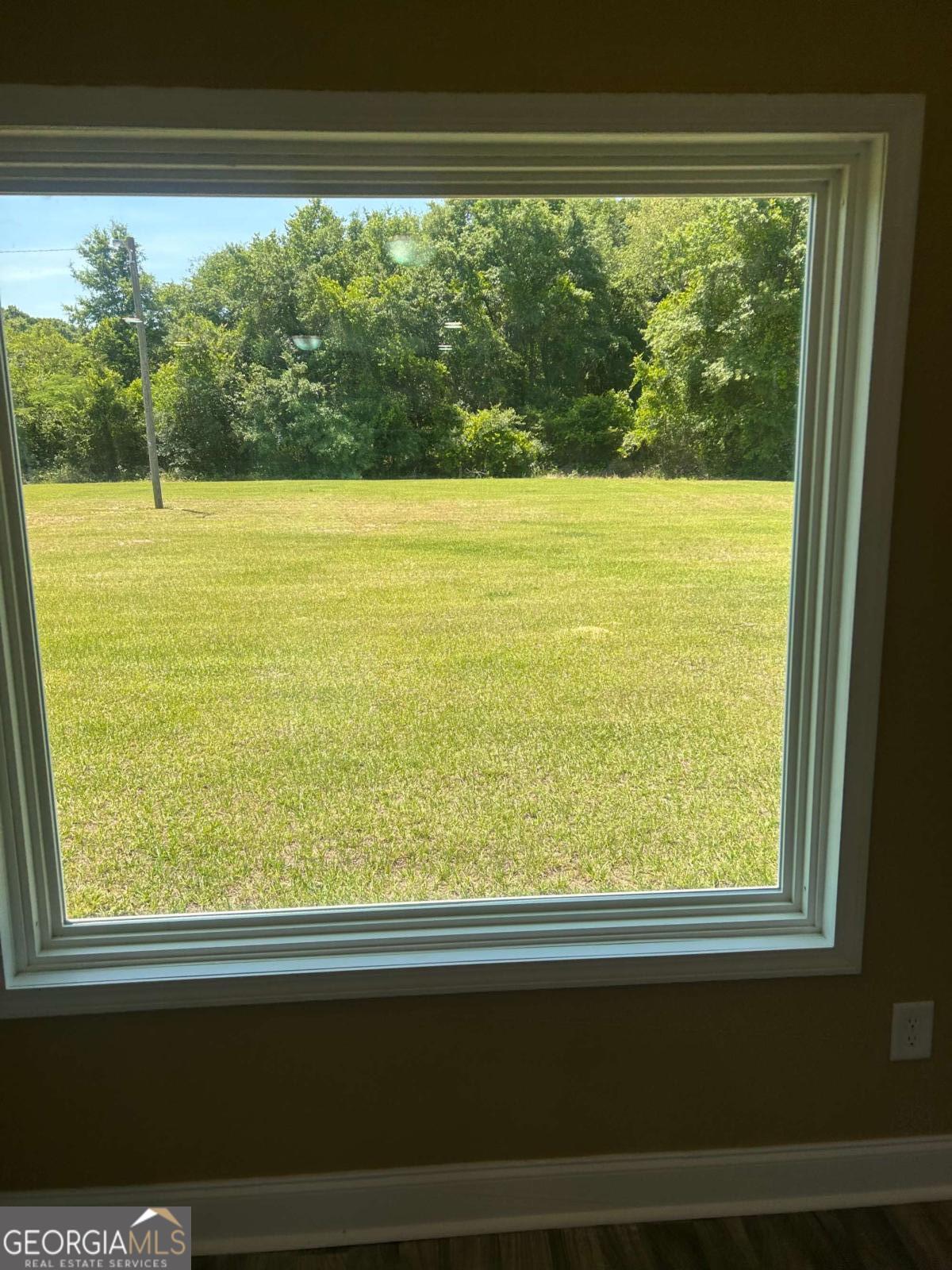 114 Mccarthy Road Buena Vista, GA 31803 - Photo 7 of 19