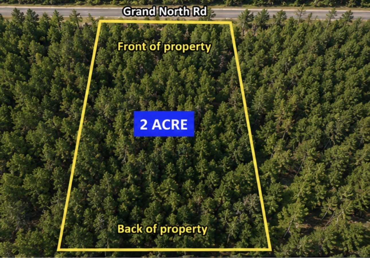 11818 Grand N Road Willis, TX 77378 - Photo 1 of 20 Gallery Image 1