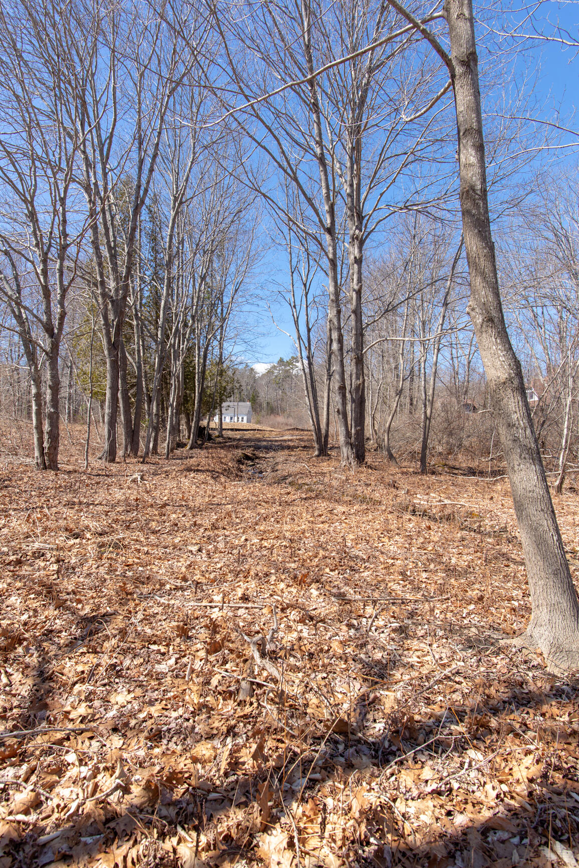 Lot 102 South Road Chebeague Island, ME 04017 - Photo 19 of 26 102-17