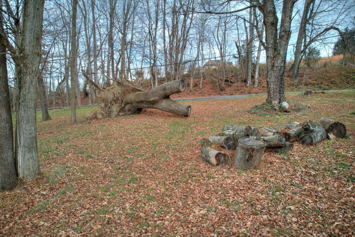 475 Hales Chapel Road Gray, TN 37615 - Photo 7 of 37 07-475_HalesChapel-17