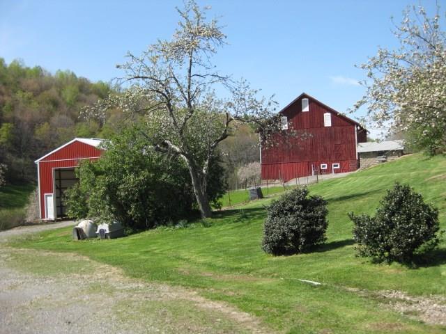 6442 Cherry Run Road Rimersburg, PA 16248 - Photo 3 of 23