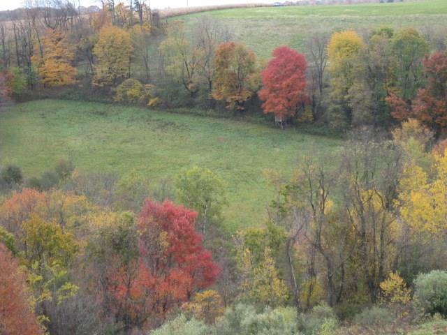 6442 Cherry Run Road Rimersburg, PA 16248 - Photo 4 of 23