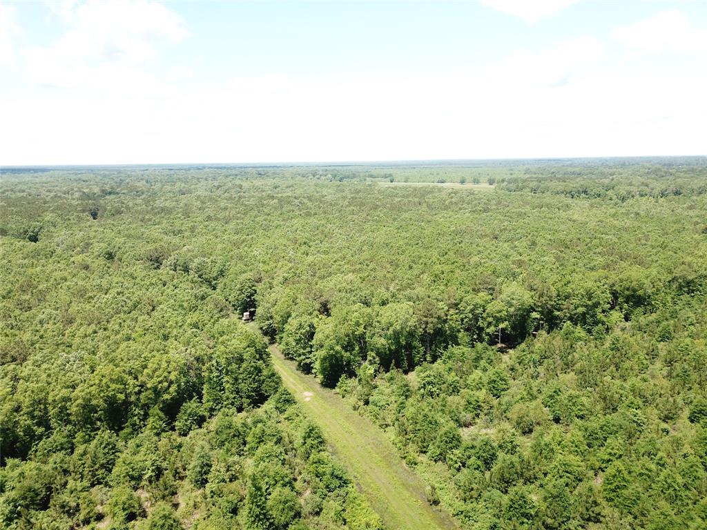 0 County Road 4223 Simms, TX 75574 - Photo 11 of 31