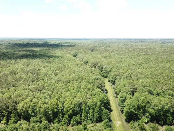 a view of a green field