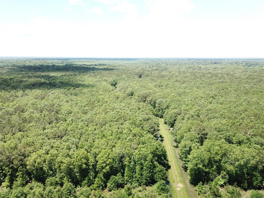 0 County Road 4223 Simms, TX 75574 - Photo 12 of 31 an empty room with yard