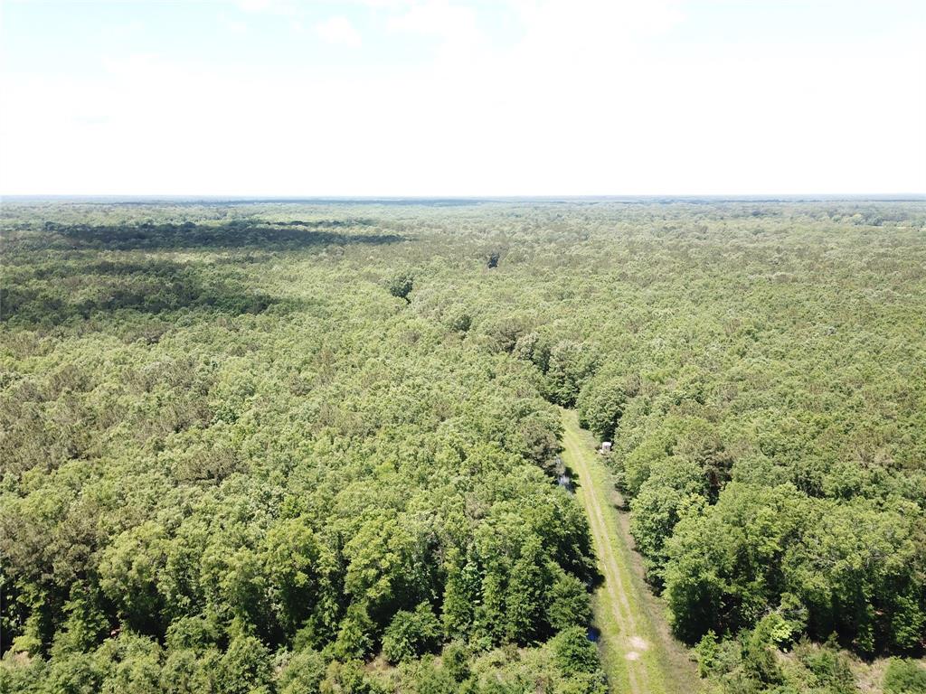 0 County Road 4223 Simms, TX 75574 - Photo 13 of 31