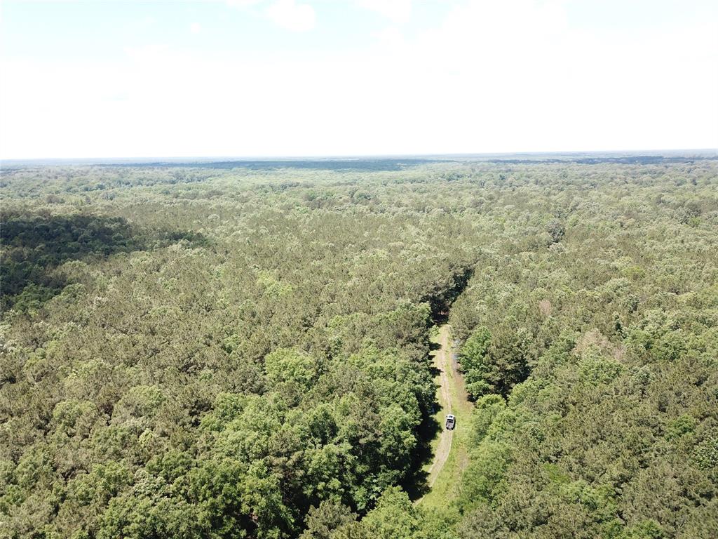 0 County Road 4223 Simms, TX 75574 - Photo 14 of 31