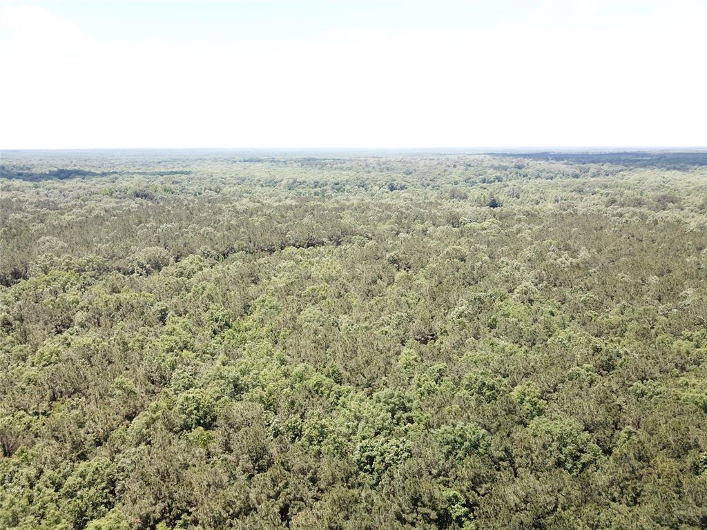 0 County Road 4223 Simms, TX 75574 - Photo 15 of 31 an aerial view of house with yard and mountain view in back